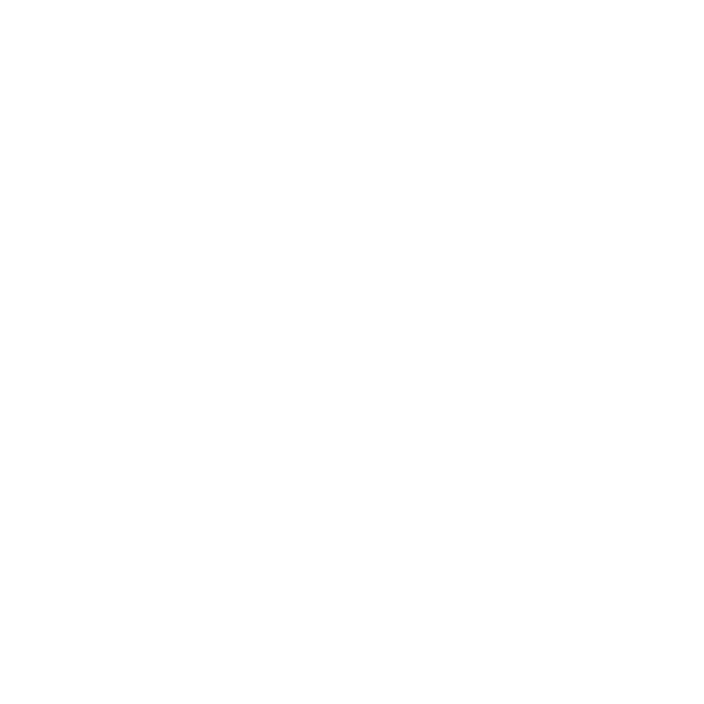 Private Jet Royalty